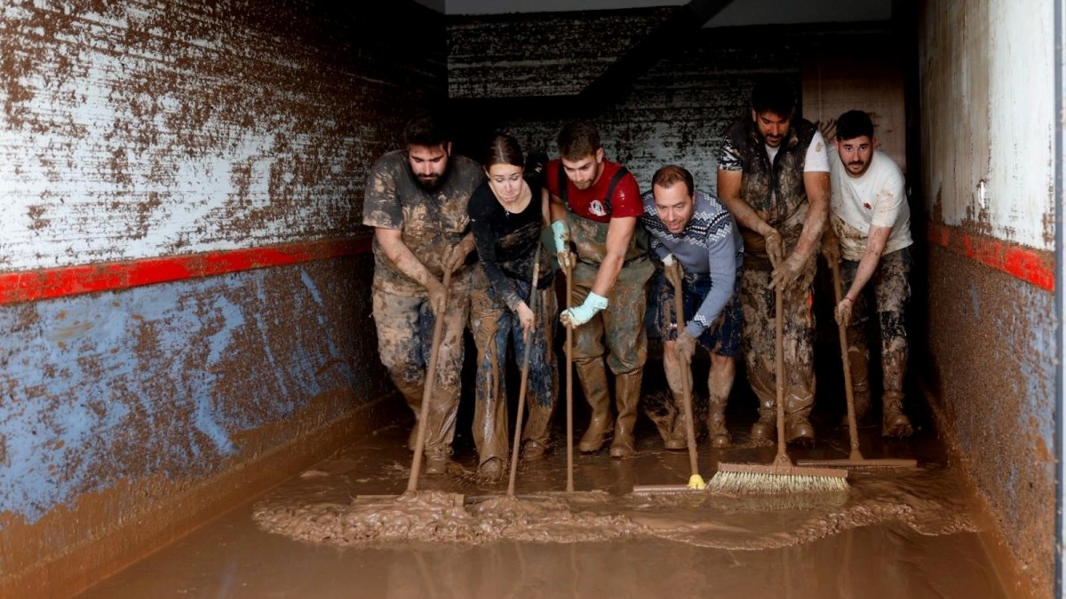 Què podem fer per afrontar els cignes&nbsp;negres?